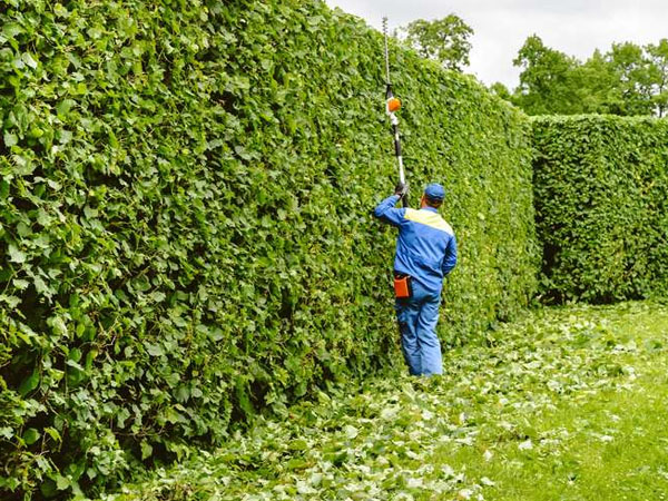 Horticulture Services